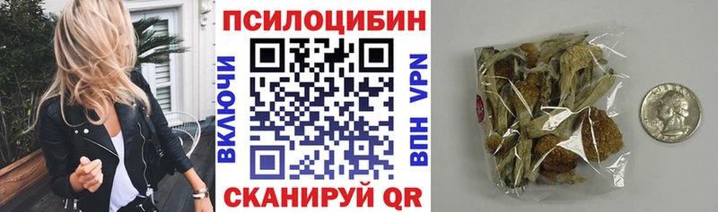 Псилоцибиновые грибы MAGIC MUSHROOMS  Купить закладки  Тимашёвск 